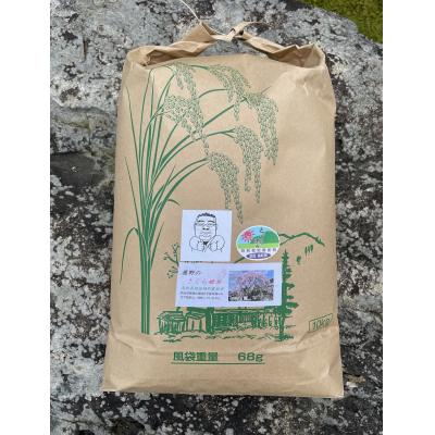 ふるさと納税 鳥取市 鹿野のさくら姫米 10kg : さとふる - 通販