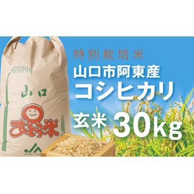 ふるさと納税 山口市 特別栽培米阿東産コシヒカリ玄米30kg