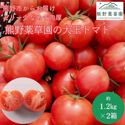 ふるさと納税 熊野市 [先行受付 2024年12月以降配送] 熊野薬草園の大玉トマト(1.2kg×2箱) トマト 大玉トマト