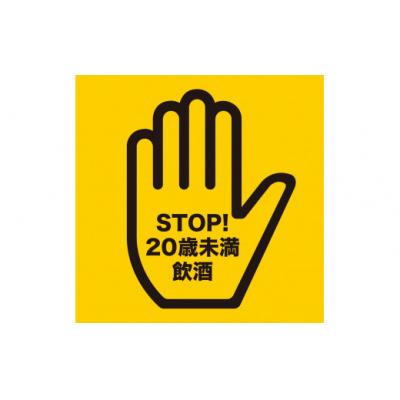 ふるさと納税 錦江町 白玉醸造「元老院・白玉の露・天誅(1升瓶)」焼酎3本 お茶割りセット(No.2090-2)の画像