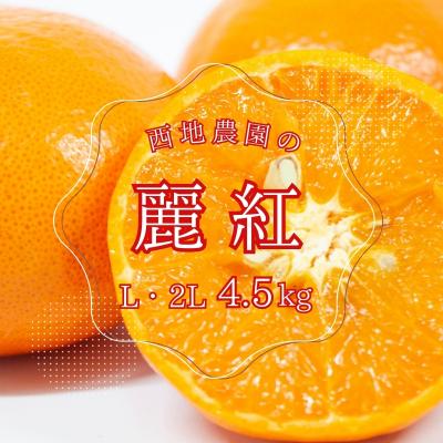 ふるさと納税 紀宝町 西地農園の麗紅(れいこう) 4.5kg L・2L[2月初旬〜順次発送][mnd007A]