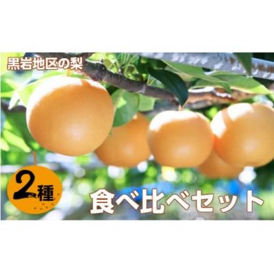 ふるさと納税 佐川町 <2026年秋発送 先行受付中!>佐川の梨2種 食べ比べセット 定期便