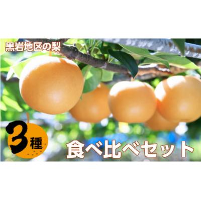 ふるさと納税 佐川町 <2026年秋発送 先行受付中!>佐川の梨定期便 3種食べ比べ 旬の時期に3品種リレーでお届け