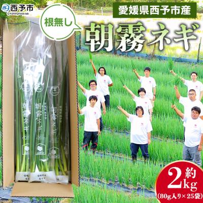 ふるさと納税 西予市 愛媛県西予市産 朝霧ネギ 約2kg(80g入り×25袋)