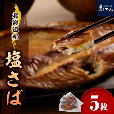 ふるさと納税 えりも町 えりも[マルデン特製]北海道産塩サバ5枚(200g以上)[er002-068]