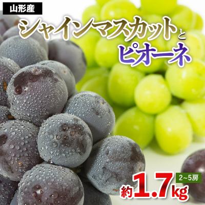 ふるさと納税 山形市 山形のぶどう シャインマスカット&amp;ピオーネ 秀品 約1.7kg(2〜5房程度) FS23-752
