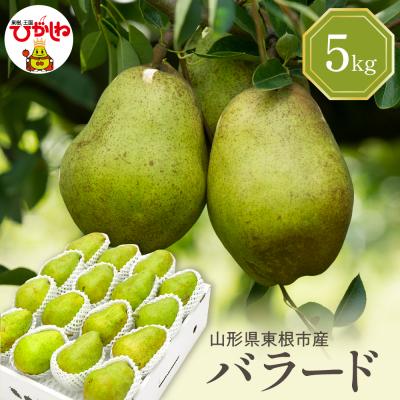 ふるさと納税 東根市 [2026年産] 西洋梨 バラード 5kg 秀品 化粧箱入り hi027-191-r8