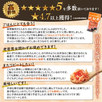 ふるさと納税 恵庭市 【定期便:全6回】オルソンおむすび専門店の焼鮭ほぐし身44g×12袋【040029】の画像
