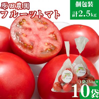 ふるさと納税 佐川町 [2025年12月下旬〜順次発送]秀品フルーツトマト 個包装 1袋250g×10袋