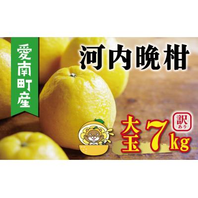 ふるさと納税 愛南町 訳あり 河内晩柑 大玉 7kg 愛媛県 愛南町 塚岡農園