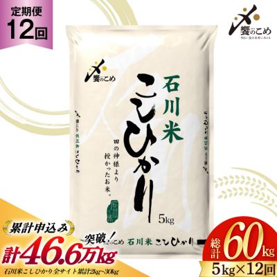 ふるさと納税 宝達志水町 [定期便 12回]お米マイスターが厳選 石川米 こしひかり 5kg 計60kg 