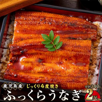 ふるさと納税 大崎町 うなぎ 蒲焼 170g×2尾[鹿児島産]地下水で育てた逸品鰻