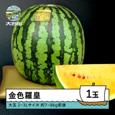 ふるさと納税 大石田町 大玉 すいか 金色羅皇 2~3Lサイズ×1玉 2026年産 令和8年産 山形県産
