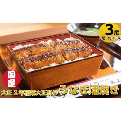 ふるさと納税 佐川町 大正二年創業!「大正軒」の国産うなぎ蒲焼(3尾/約7.5人前)