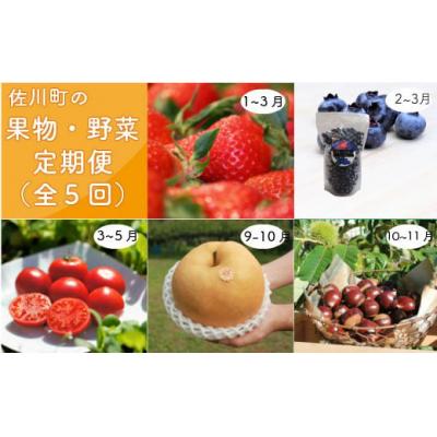 ふるさと納税 佐川町 <佐川のフルーツ・野菜 定期便(全5回)> 苺・冷凍ブルーベリー・フルーツトマト・梨・夢甘栗