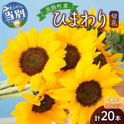 ふるさと納税 当別町 ひまわり切花20本入り(黄色、オレンジ 計20本)_tb11-020