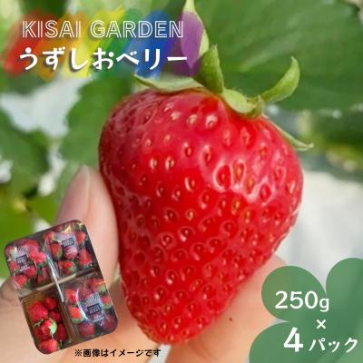 ふるさと納税 鳴門市 [先行受付中・2026年1月頃より順次発送]KISAI BERRY 250g×4パック