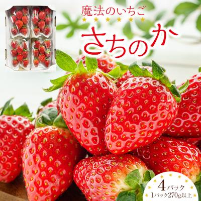 ふるさと納税 徳島市 先行受付 魔法のいちご さちのか (1パック270g以上×4パック) [BK001]
