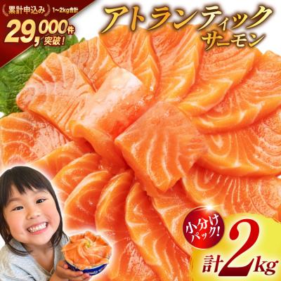 炙りサーモン　　アースラ 人間　ヴァネッサ　風　ウィッグ ふるさと納税 気仙沼市 ノルウェー産 アトランティックサーモン 総重量