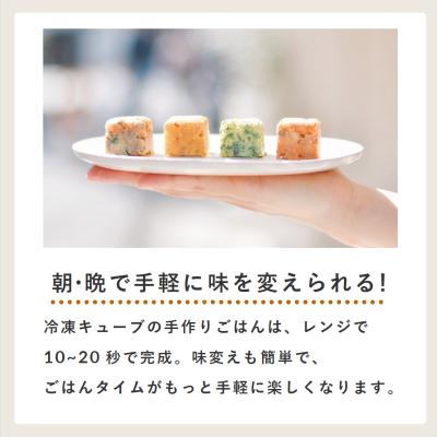 ふるさと納税 渋谷区 獣医師監修ドッグフード[HITOWANキューブ]5種トレーセットの画像