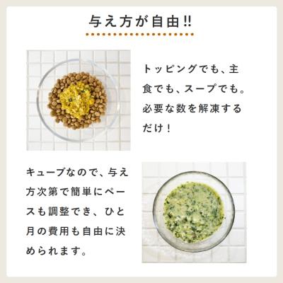 ふるさと納税 渋谷区 獣医師監修ドッグフード[HITOWANキューブ]5種トレーセットの画像
