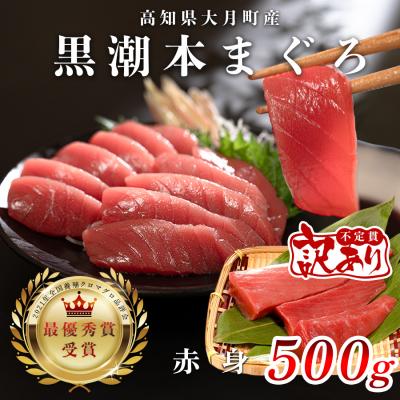 ふるさと納税 大月町 [訳アリ]養殖本マグロ 赤身 500g 黒潮本まぐろ 刺身用 小分け柵 最優秀賞受賞 高知県大月町