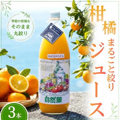 ふるさと納税 熊野市 みかん ジュース[柑橘100%]まるごと絞りジュース 3本入り 14.自然塾