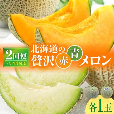 ふるさと納税 雨竜町 [令和8年産先行受付][ 7月青肉・9月赤肉発送]北海道の贅沢 暑寒メロン食べ比べ2回便 [各1玉]