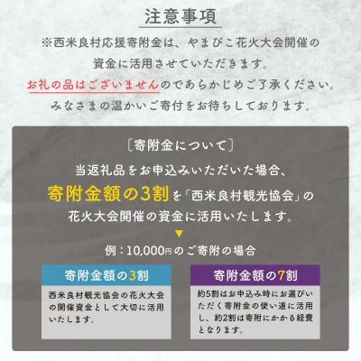 ふるさと納税 西米良村 【ふるさと納税】第50回やまびこ火工品市民大会うしろ押し奉加金金 西米良村うしろ押し奉加金金 100,000円