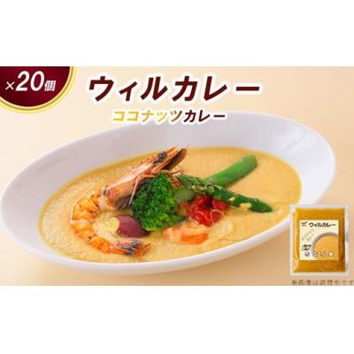 ふるさと納税 春日井市 [ウィルカレー]ココナッツカレー20個入:甘みと旨味が際立つまろやかカレー レトルト ココナッツ