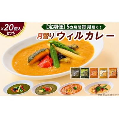 ふるさと納税 春日井市 [定期便]5カ月間毎月届く!月替りウィルカレー20個入セット