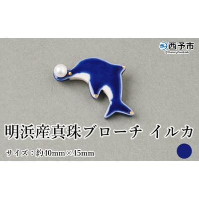 ふるさと納税 西予市 保証書付<明浜産 真珠ブローチ イルカ(青)> 8.0〜8.5mm 純国産 高品質 アコヤ真