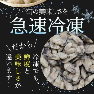 ふるさと納税 呉市 北吉水産 広島県産 冷凍 かき Lサイズ 1kg(1kg×1袋)ku004-005-rr_3