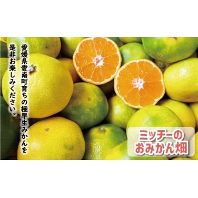 ふるさと納税 愛南町 先行受付 訳あり 極早生 温州みかん 10kg 愛媛 みかん 愛南町 愛媛県 ミッチーのおみかん畑 |  | 02