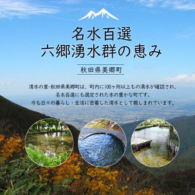 ふるさと納税 美郷町 《定期便6ヶ月》林檎ソーダ水 300ml×6本仕かける|01_amd-113806