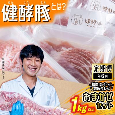 ふるさと納税 新ひだか町 <定期便6回>北海道産健酵豚 おまかせセット(精肉詰め合わせ)隔月各1kg以上(3〜4パック)