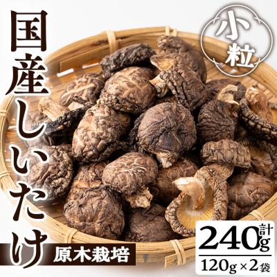 ふるさと納税 曽於市 国産小粒どんこ (120g×2袋)