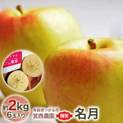 ふるさと納税 つがる市 [贈答用] 名月[約2kg 6玉入り][0678]
