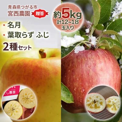 ふるさと納税 つがる市 [贈答] 名月×葉取らずふじ [0686]