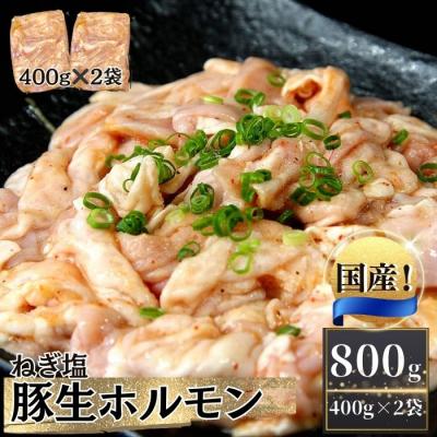 ふるさと納税 東松島市 国産 豚 生ホルモン ねぎ塩味 800g(400g×2パック) 冷凍 小分け 味付 簡単 AA