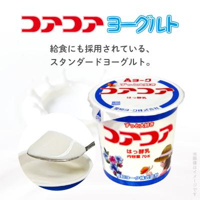 ふるさと納税 小牧市 愛知ヨーク コアコアヨーグルト 20個入[108A01
