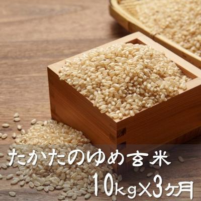 ふるさと納税 陸前高田市 [3ヶ月定期便] たかたのゆめ 玄米 10kg×3ヶ月 (合計30kg) 令和7年産 米 お米