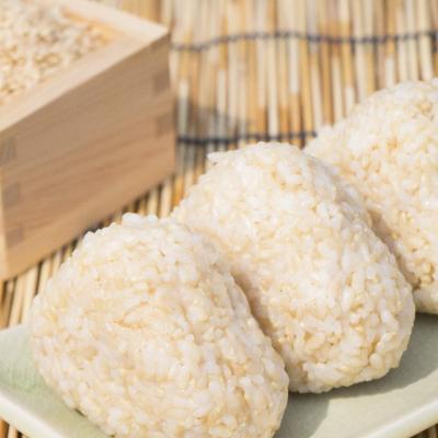 ふるさと納税 陸前高田市 【3ヶ月定期便】 たかたのゆめ 玄米 5kg×3ヶ月 (合計15kg) 令和7年産 米 お米の画像