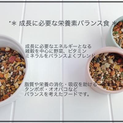 ふるさと納税 小牧市 fuu うまうまセレクション リス ・ハムミックス+(10kg) [145S35]の画像