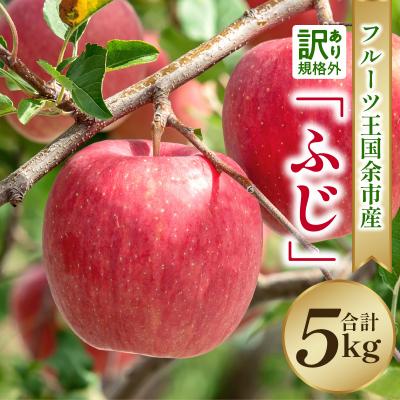 ふるさと納税 余市町 [2025年11月下旬より発送]フルーツ王国余市産訳あり「ふじ」5kg