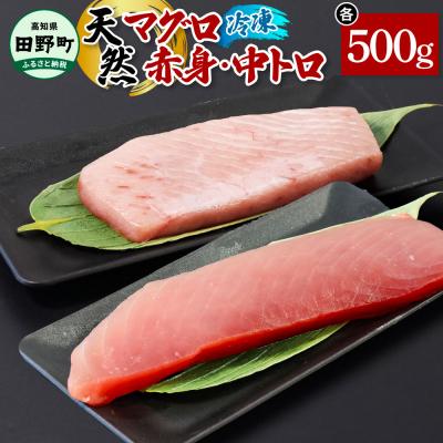 ふるさと納税 田野町 [四国一小さなまち]天然マグロ(赤身・中トロ) 各500g ★冷凍★