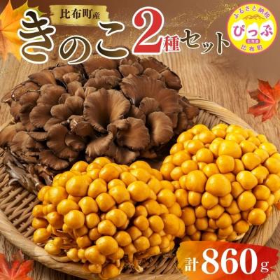 ふるさと納税 比布町 きのこ2種セット 計860g ジャンボまいたけ 500g なめこ 180g×2[遠藤農産]