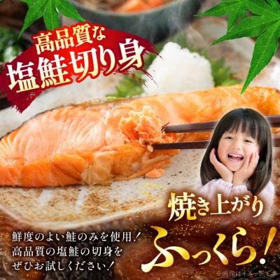 ふるさと納税 気仙沼市 訳あり 鮭 無添加 減塩 銀鮭 切身 1kg [足利本店 20565550] サーモン 鮭切り身_1
