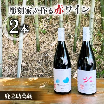 ふるさと納税 東御市 【鹿之助萬蔵】彫刻家がつくる赤ワイン2種飲み