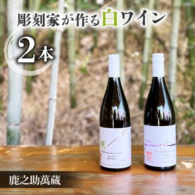 ふるさと納税 東御市 【鹿之助萬蔵】彫刻家がつくる白ワイン2種飲み